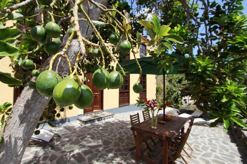 Casa Rural Los Aromos - Wunderschones Landhaus Mit Meerblick Hermigua Extérieur photo
